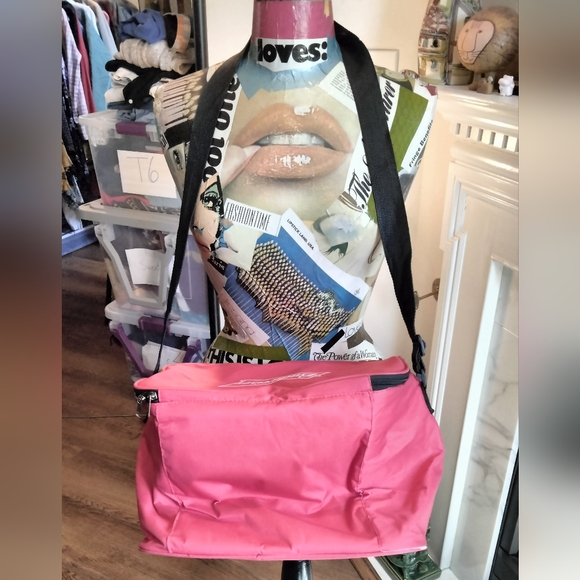 Budweiser Bluetooth speakers cooler - Picture 10 of 14